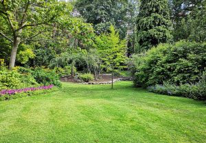 Optimiser l'expérience du jardin à Bubertre